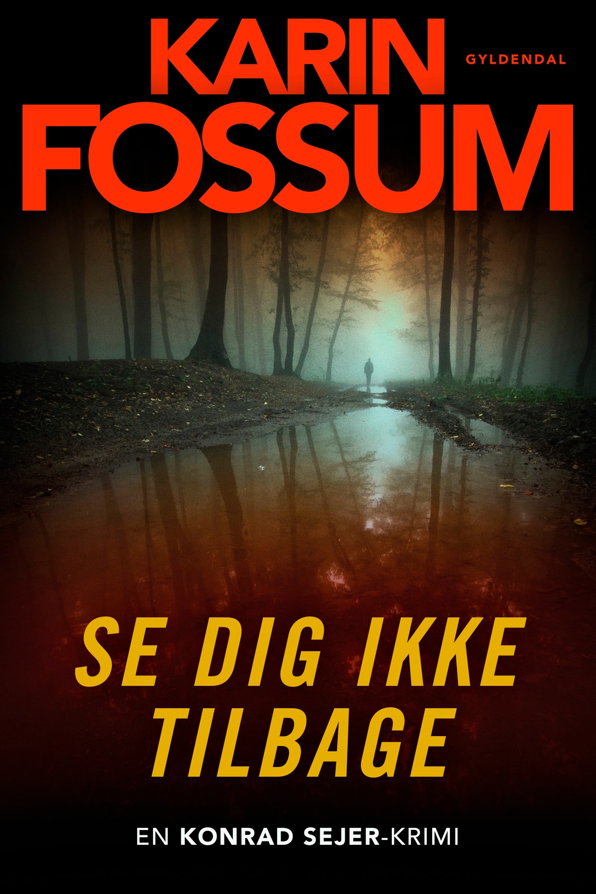 Boganbefaling: ‘Se dig ikke tilbage’ af Karin&nbsp;Fossum